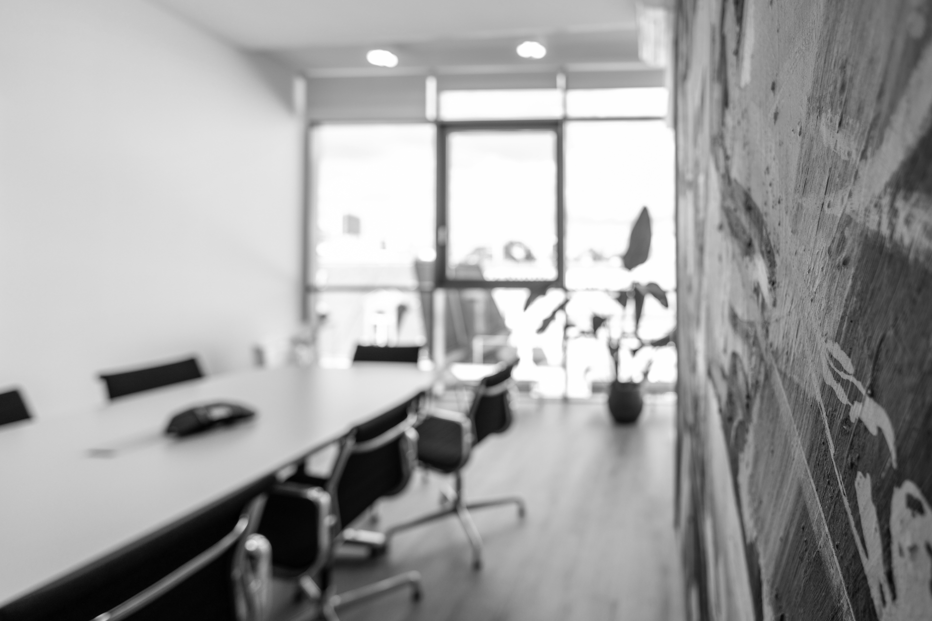 Ein modern eingerichteter Besprechungsraum mit einem langen Tisch, Stühlen und einer großen Fensterfront, hinter der eine Pflanze zu sehen ist. Die Wand zeigt ein künstlerisches Graffiti-Design.